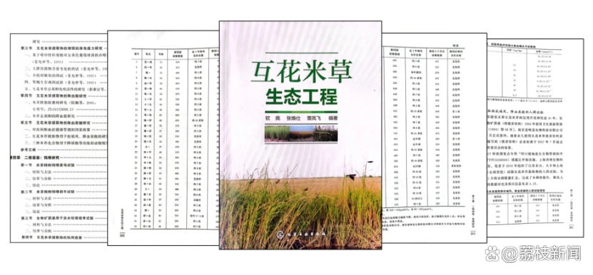 d1a20cf431adcbef72327569894522cda2cc9f50.jpg